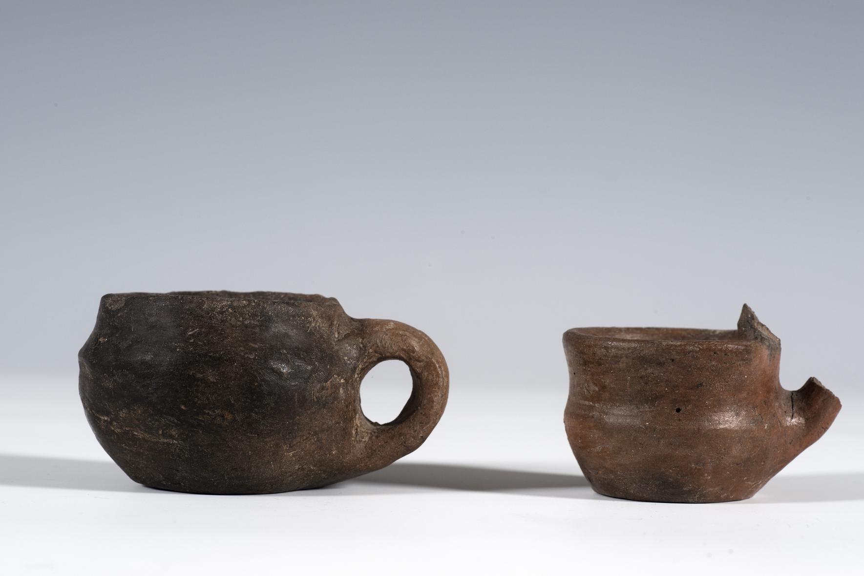 tazza