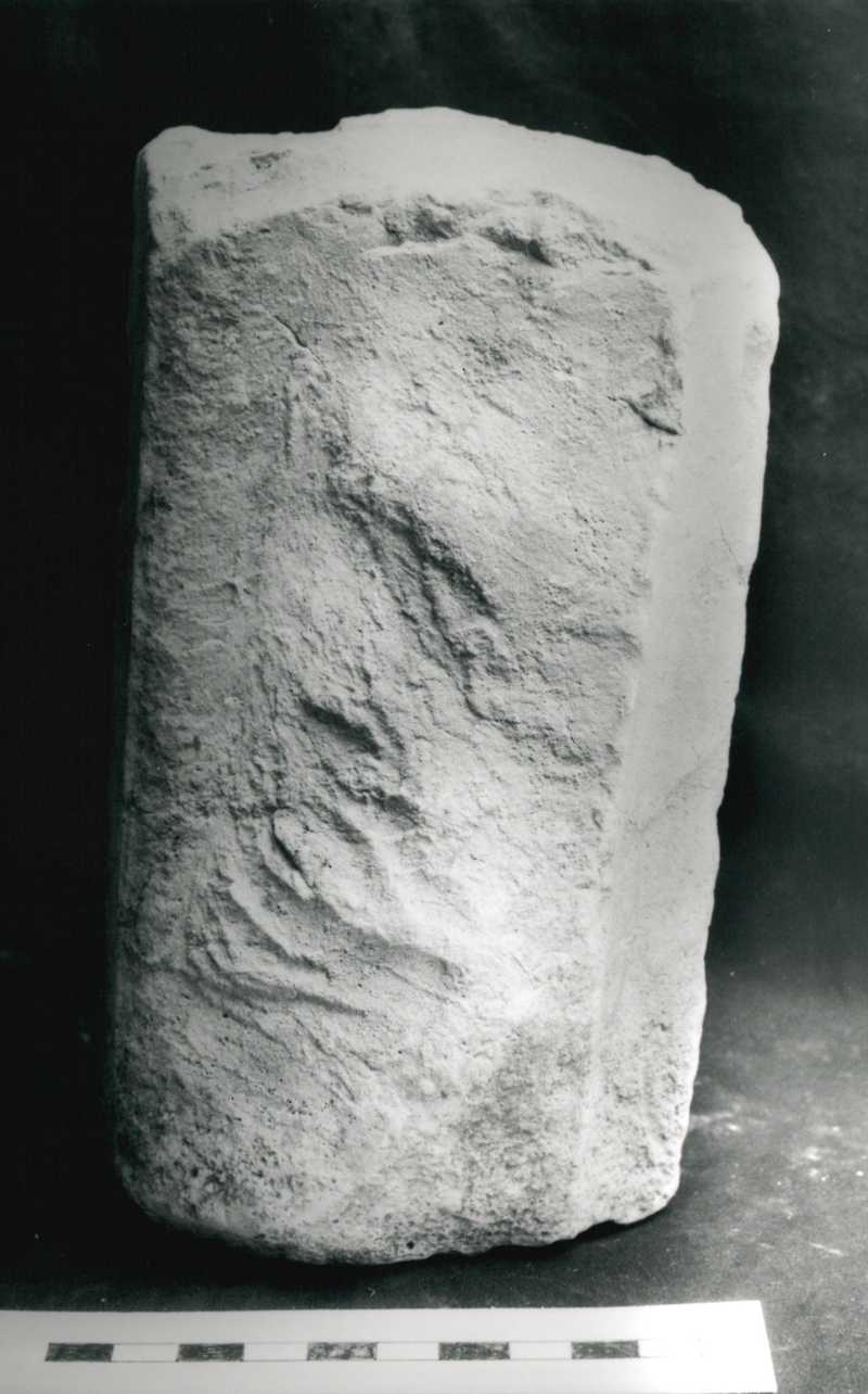 lesena scanalata /fr