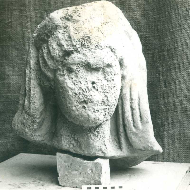 Testa muliebre frammentata