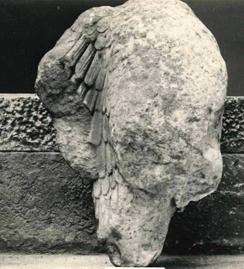 Frammento di scultura raffigurante un'aquila.