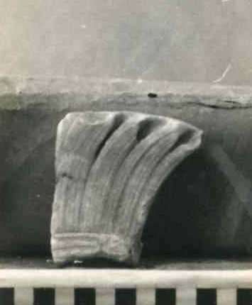 Frammento di lophos.