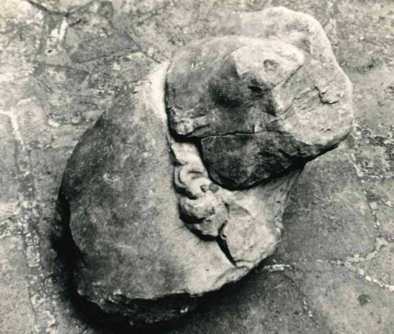 Scultura frammentata raffigurante un animale.