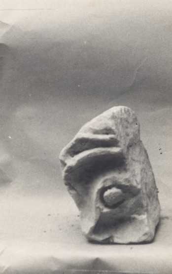 Frammento di clipeo.