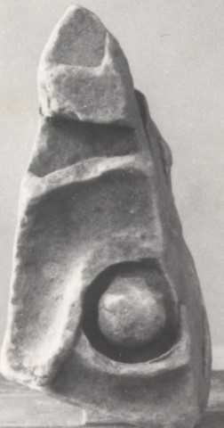 Frammento di clipeo.