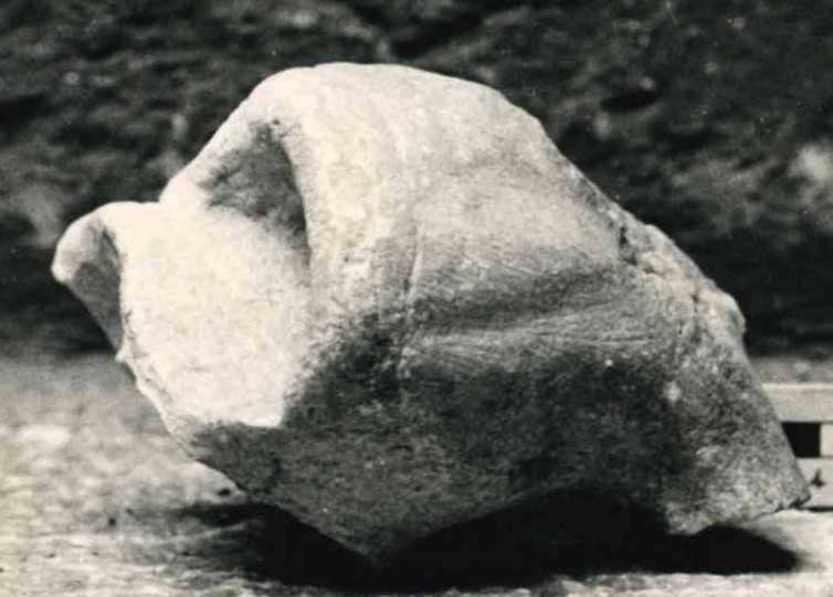 Frammento di rilievo.