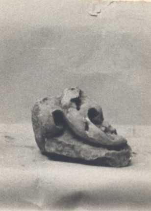 Frammento di rilievo figurato.
