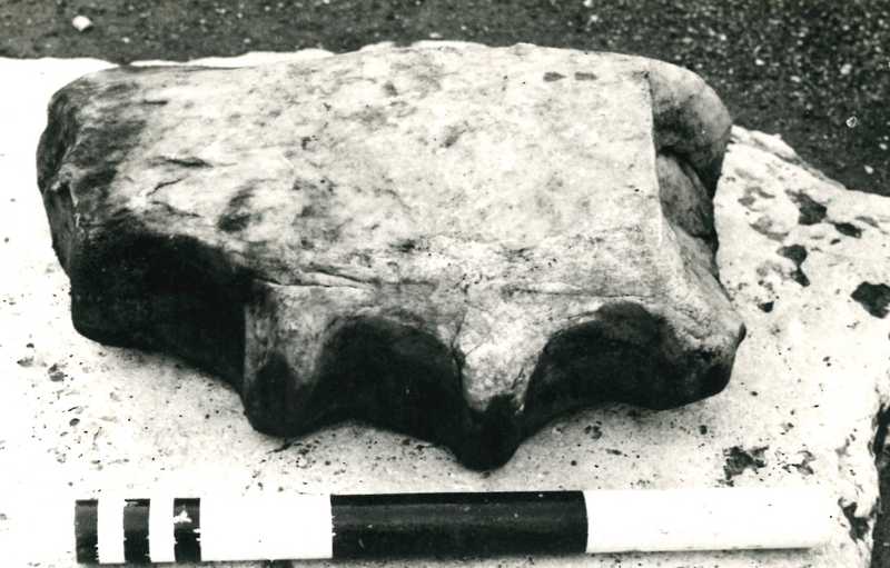 colonna scanalata/fr
