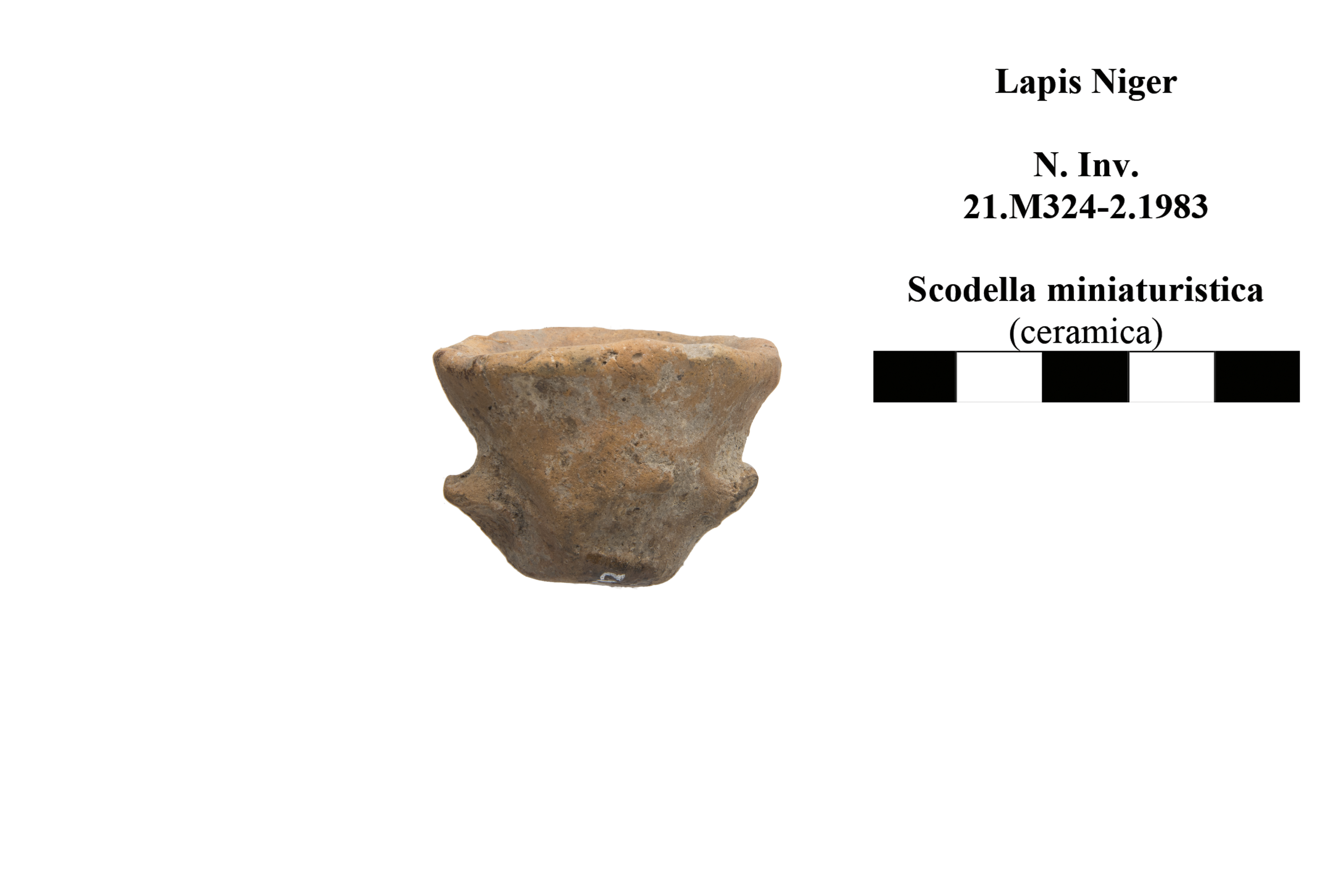 scodella