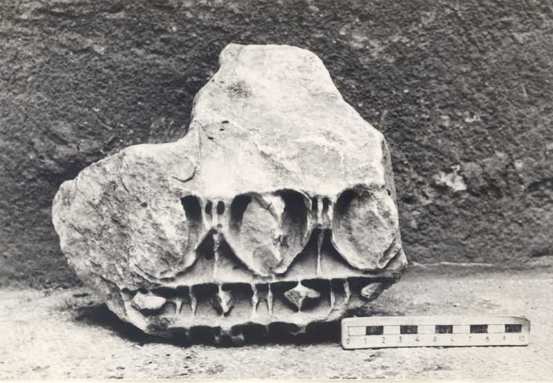 Frammento di cornice