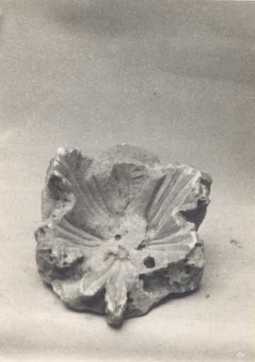 Frammento di capitello.
