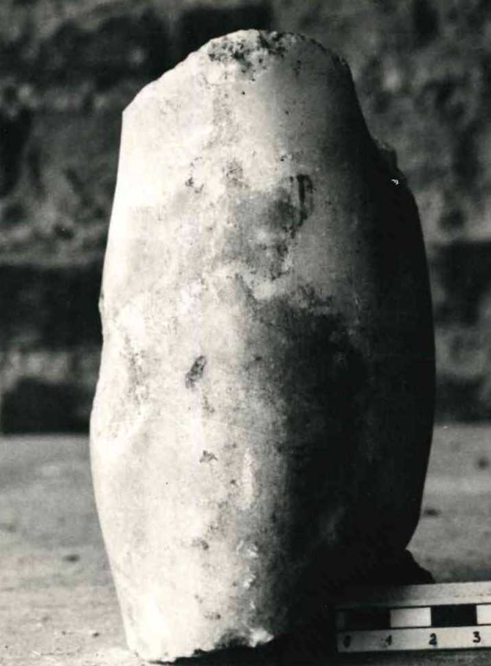 Frammento di gamba
