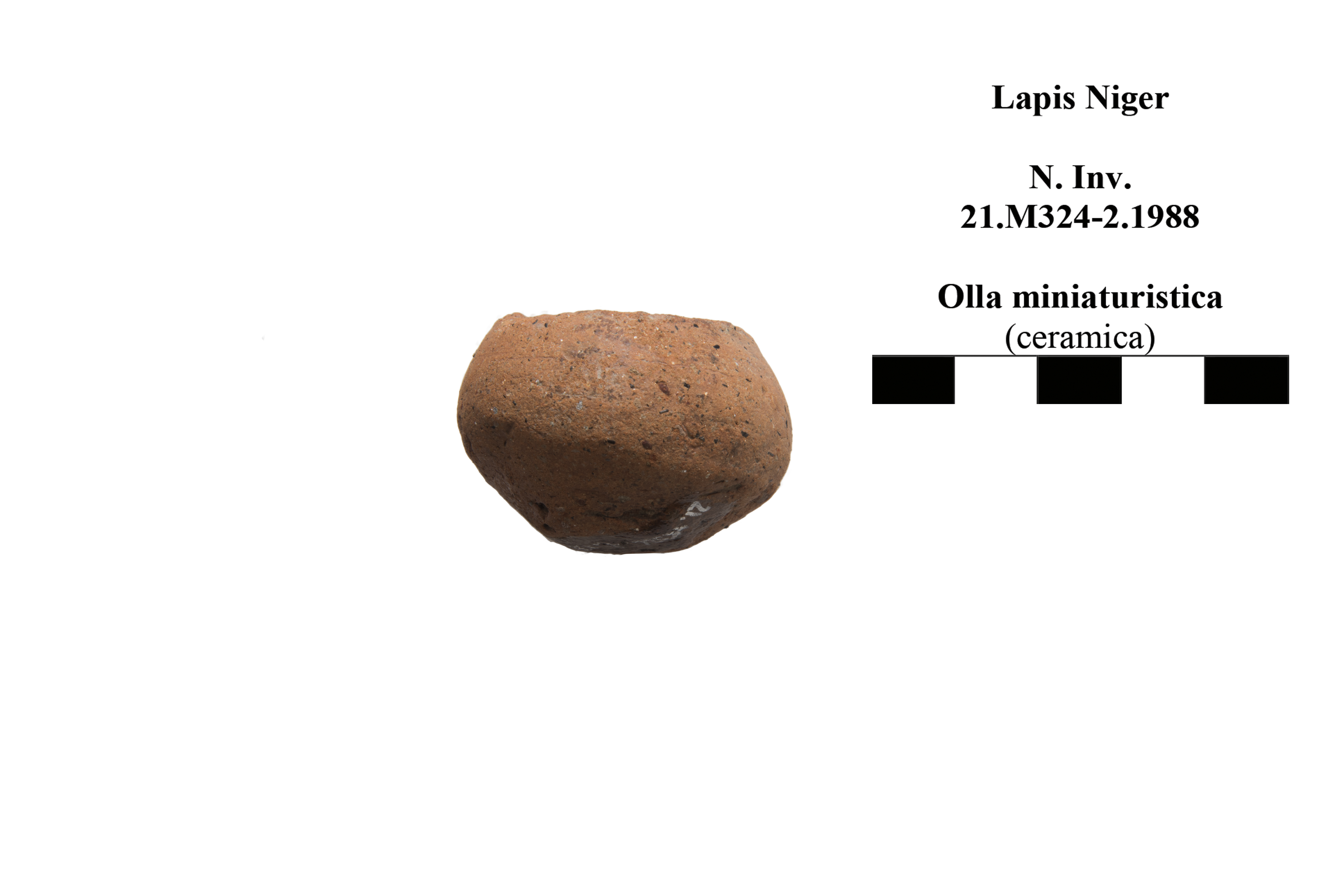 olla miniaturistica