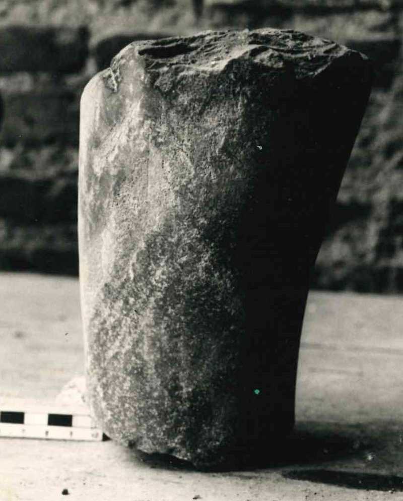 Frammento di gamba. (?)