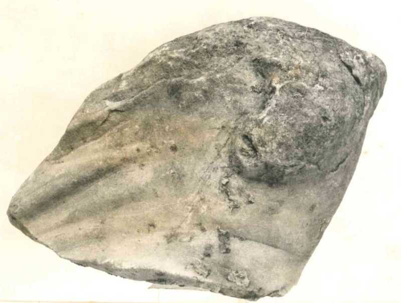 Frammento di rilievo.