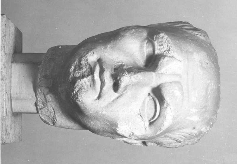 Testa virile frammentata