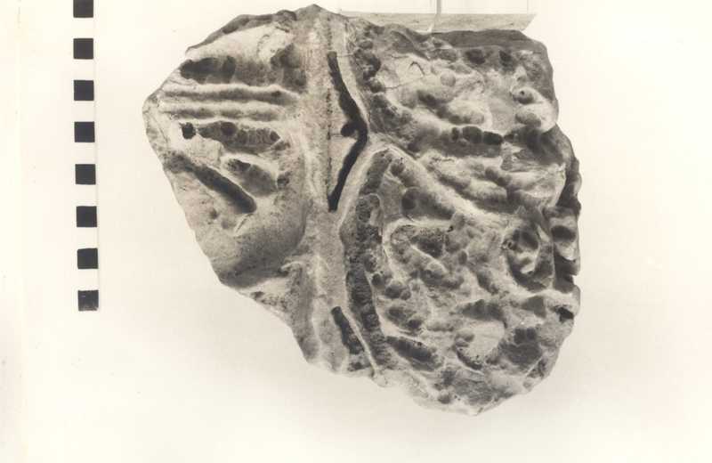 Frammento di base di colonna. ?