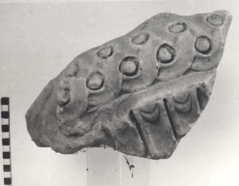Frammento di base di colonna.