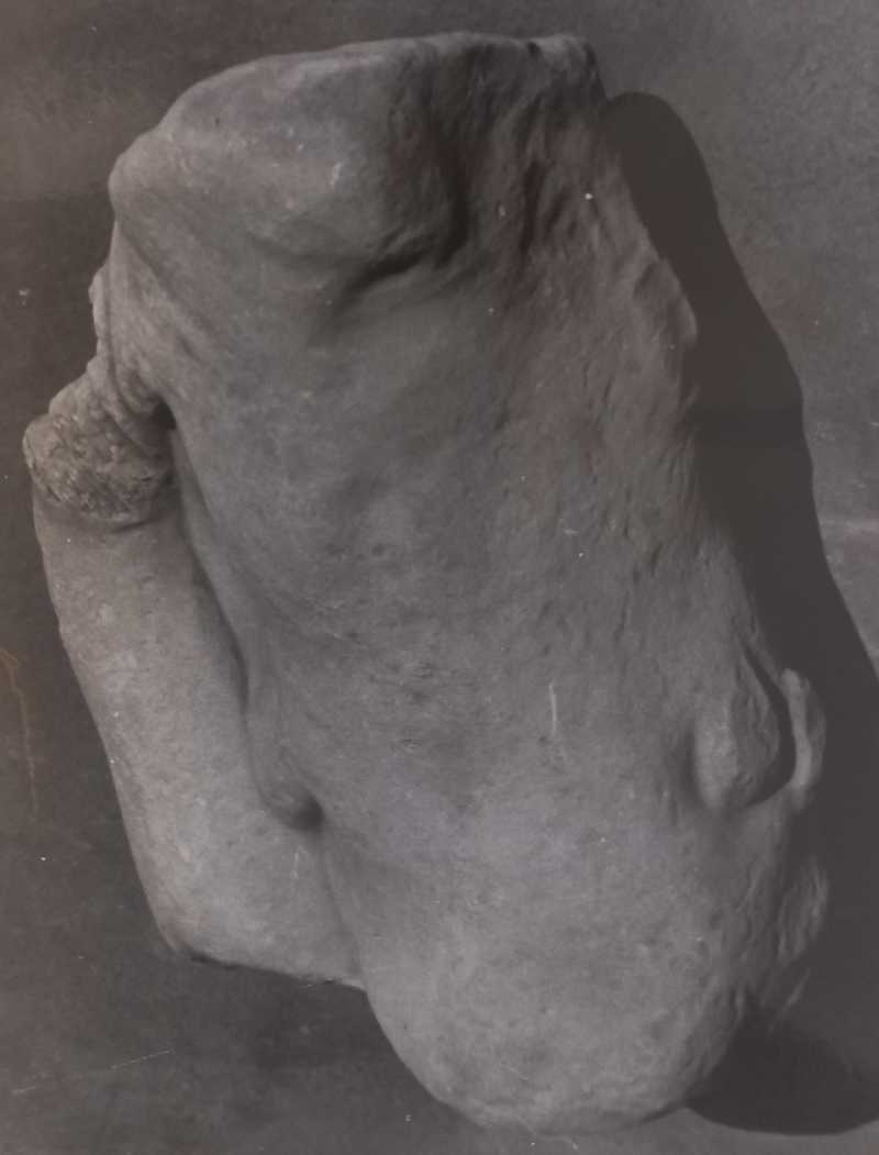 statua/fr