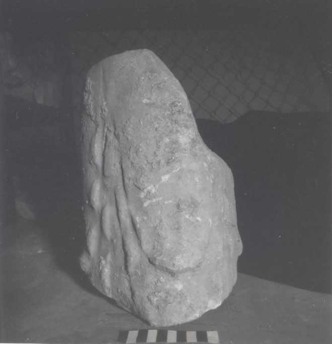 pilastrino (mo-veg)/fr