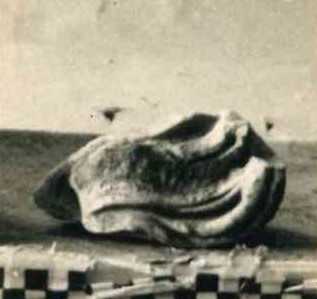 Frammento di capigliatura