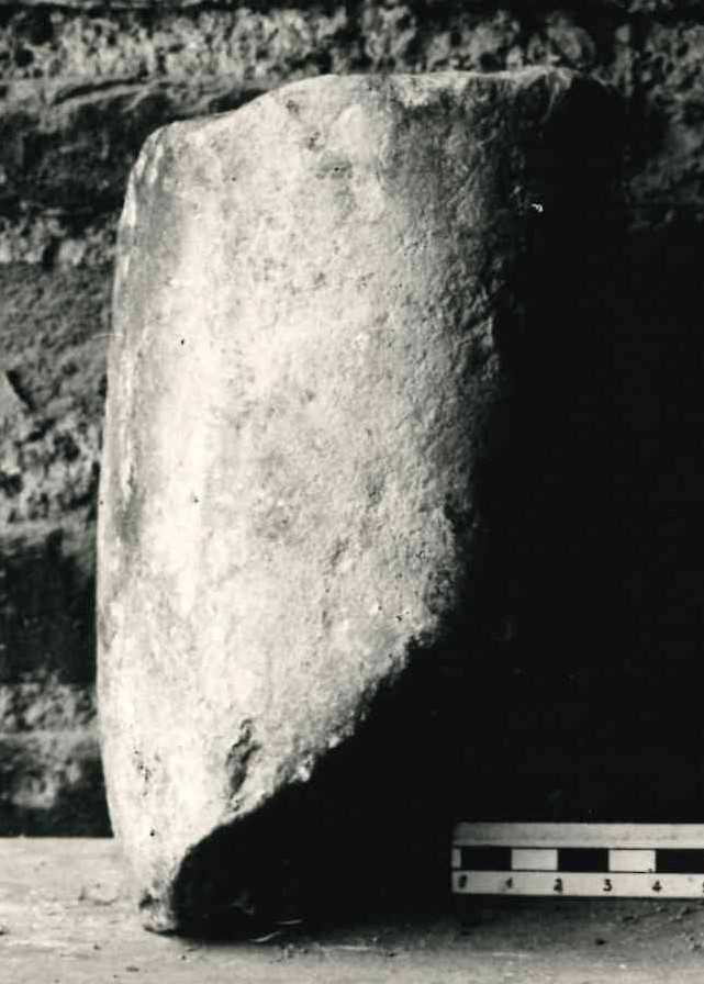 Frammento di braccio.