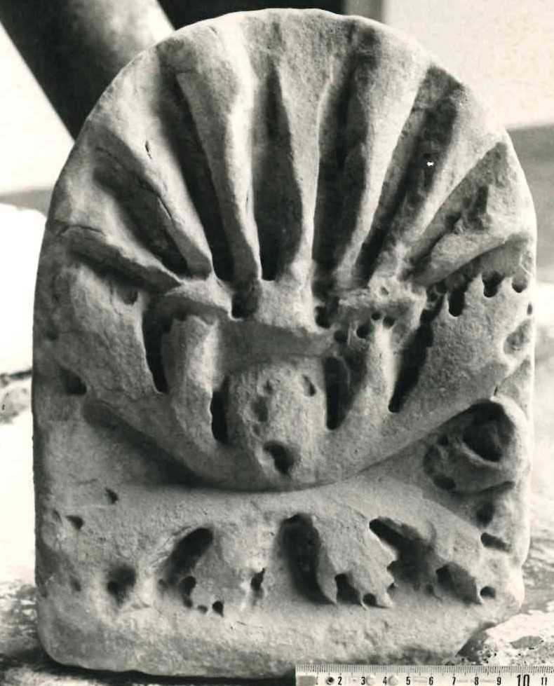 Antefissa frammentata.
