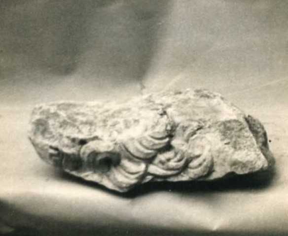 Frammento di testa di scultura