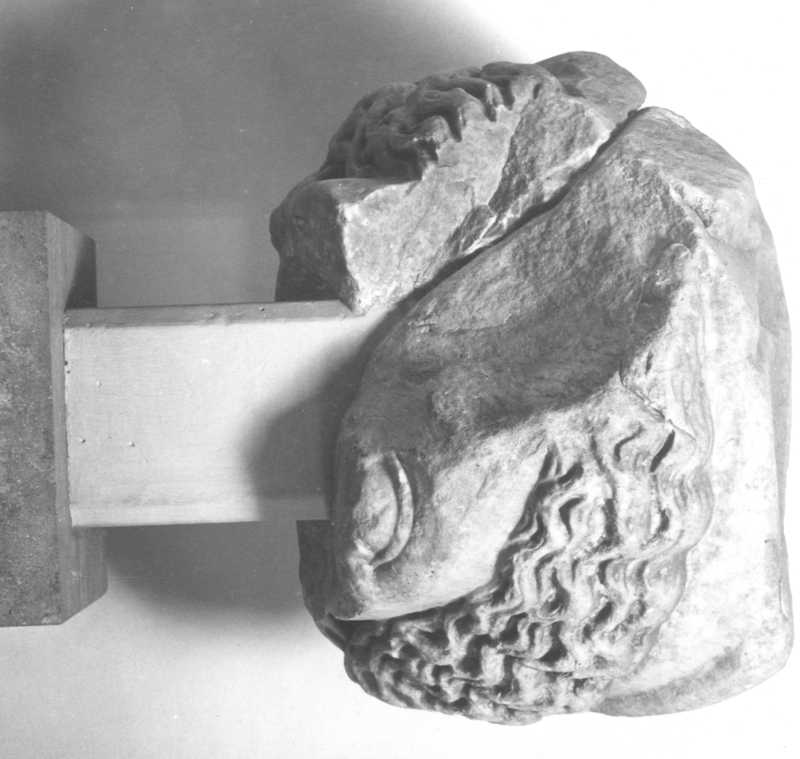 Testa muliebre frammentata