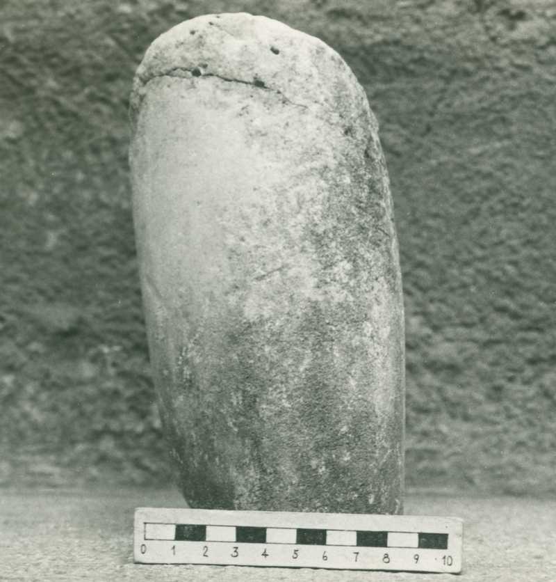 Frammento di avambraccio sinistro (?)
