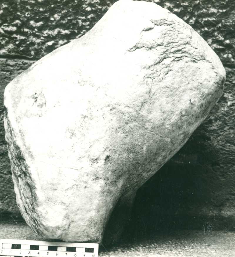 Frammenti di braccio