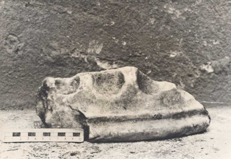 Frammento di colonna.