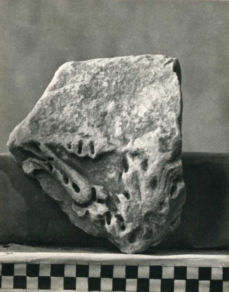 Frammento di rilievo decorato.
