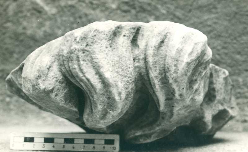 Testa frammentata