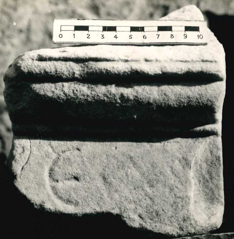 Frammento superiore destro di cippo modanato.