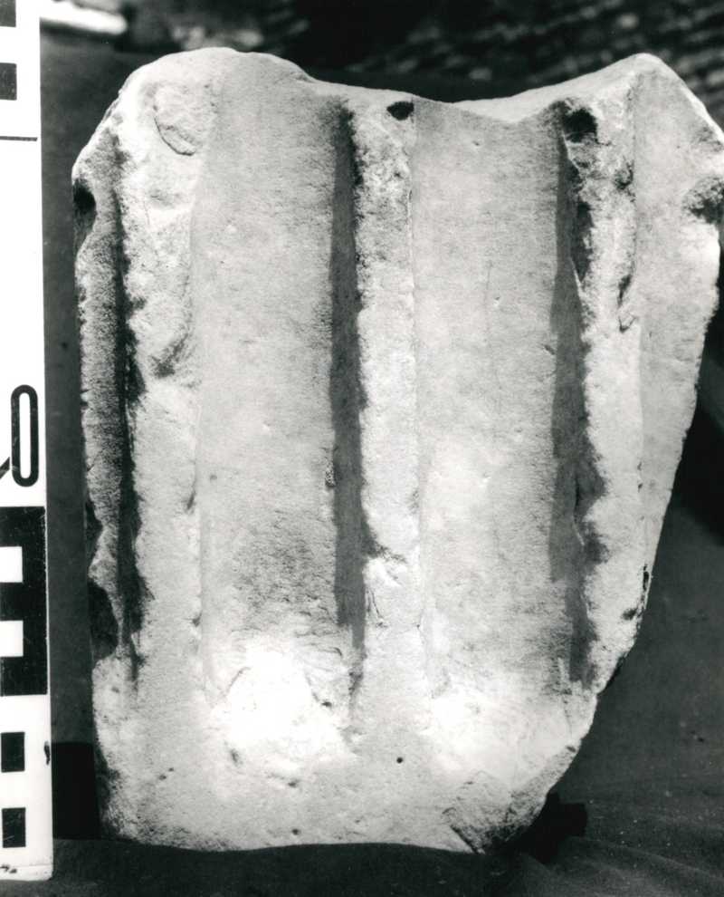 lesena scanalata/fr