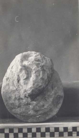 Frammento di incerta interpretazione.