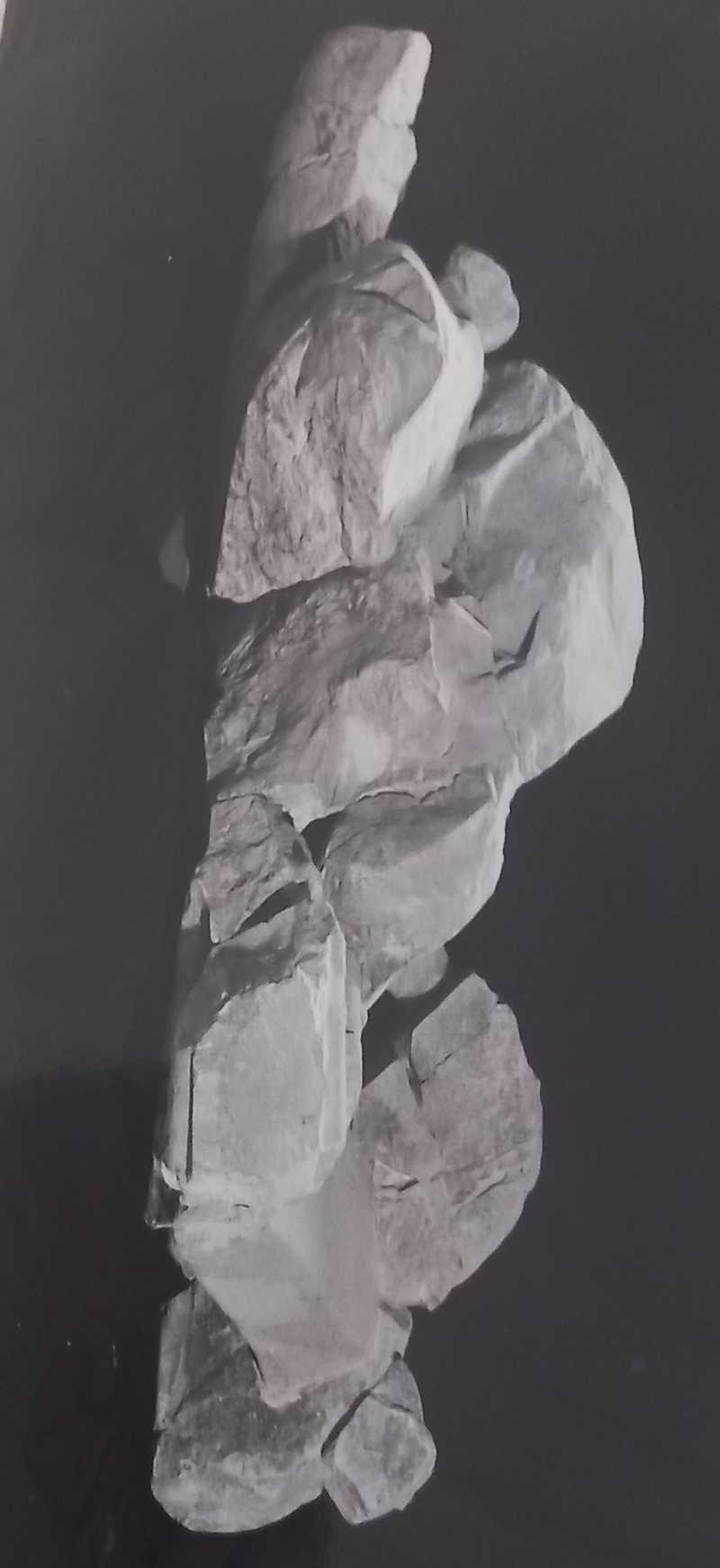 statua/fr