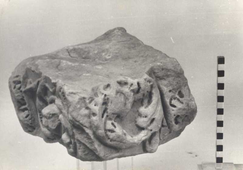 Frammento di cornice. ?