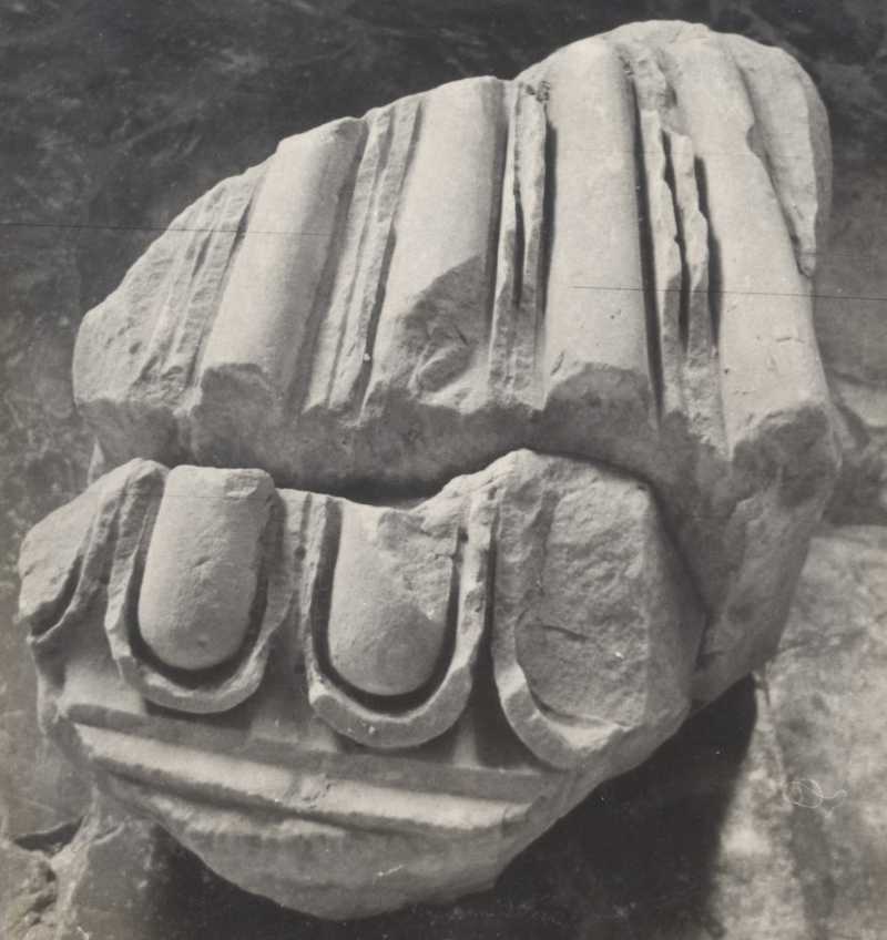 Frammento di clipeo.
