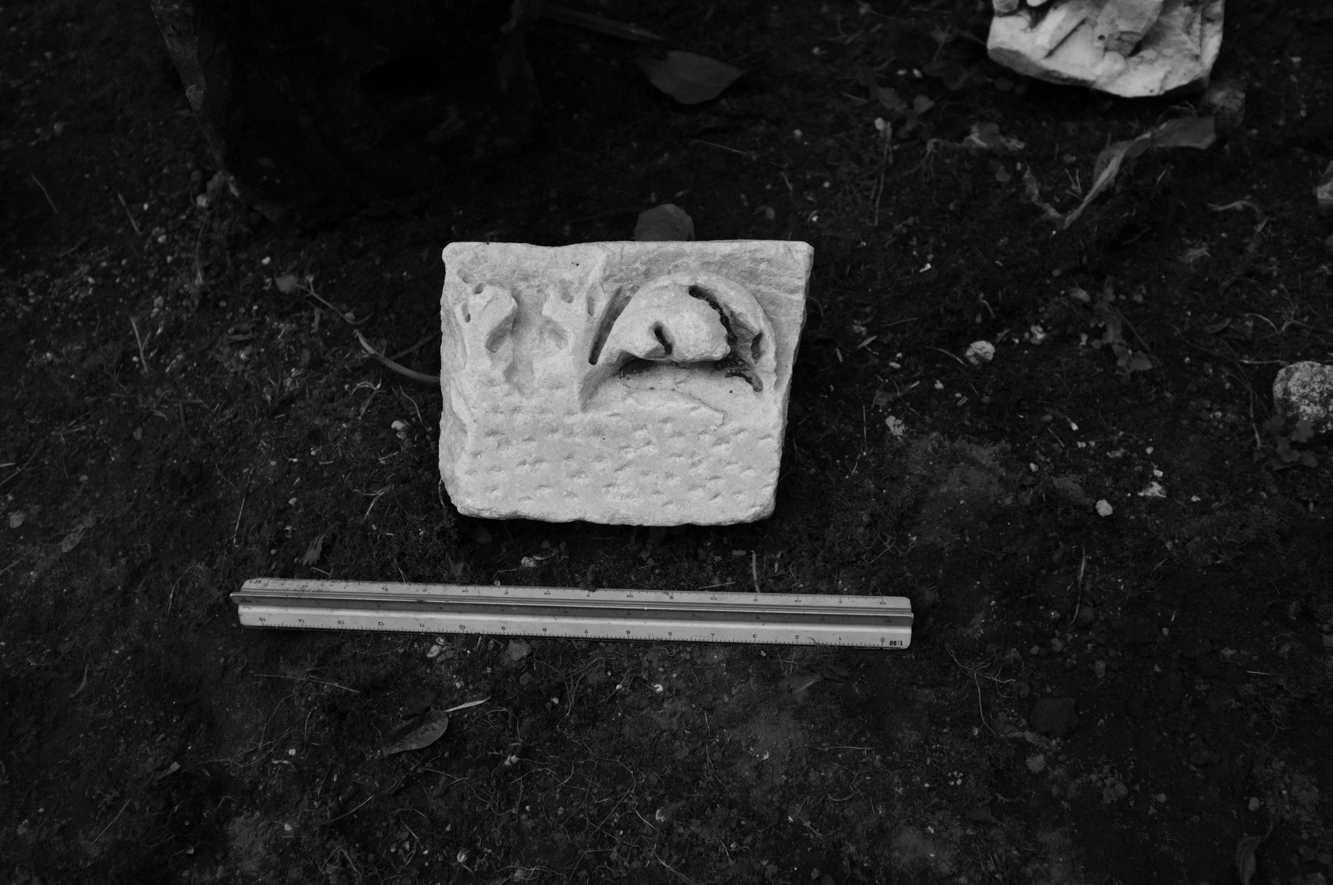 cornice/ modanata/ / sima (*)
