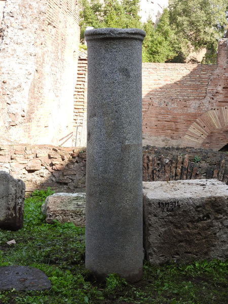 fusto/ di colonna/ liscio
