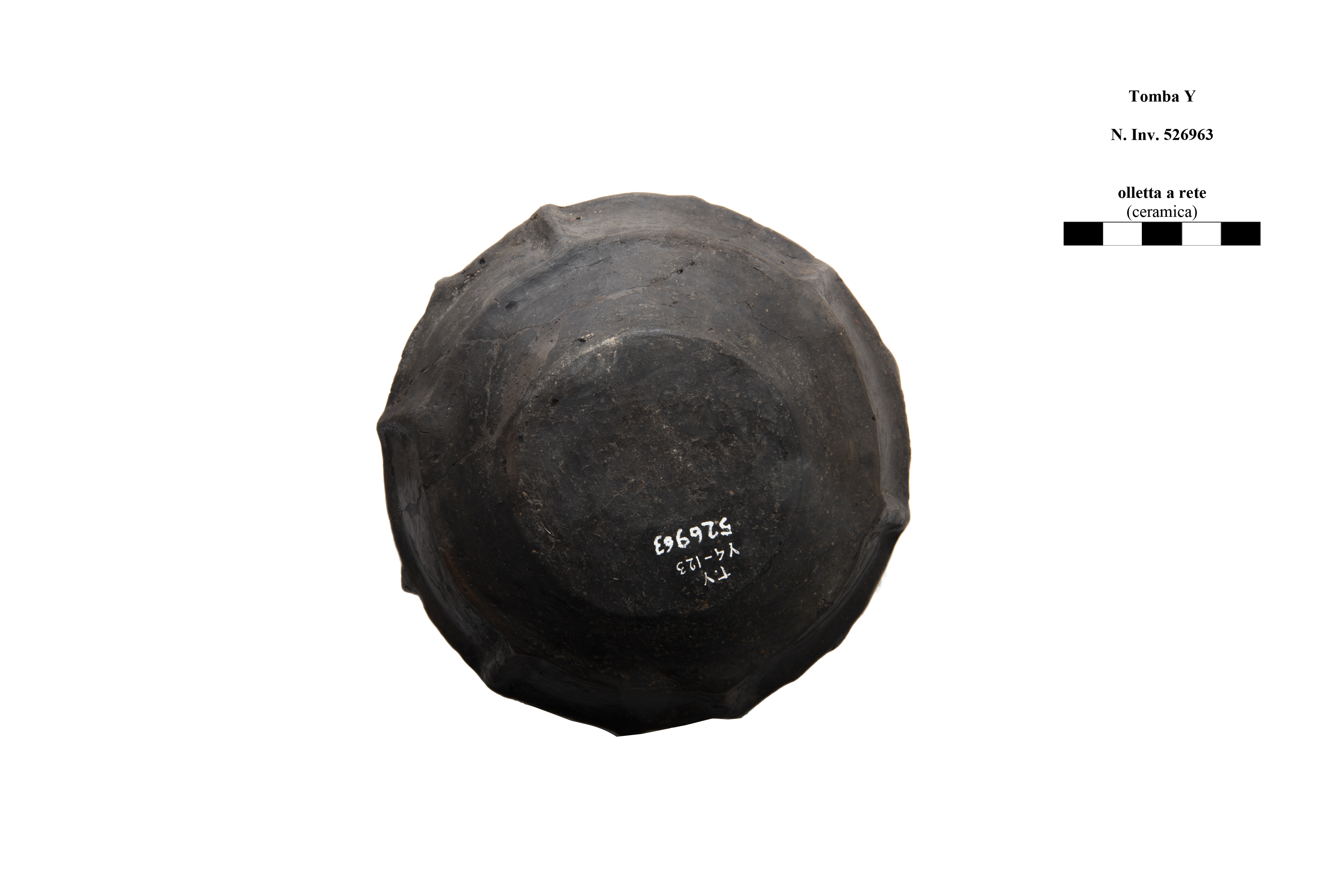 olla/ a rete
