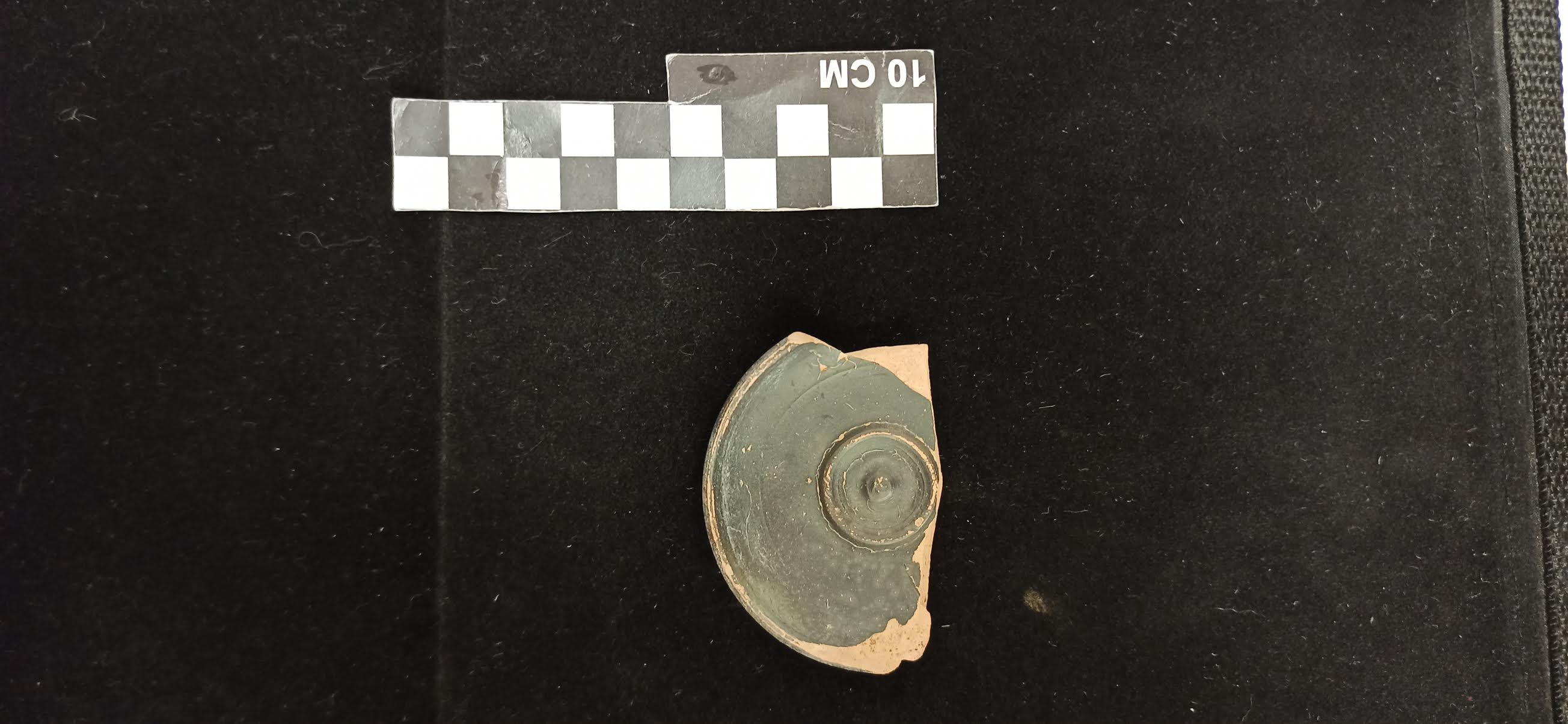 patera/ ombelicata