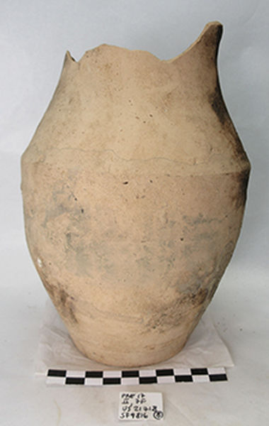 brocca/ ovoidale