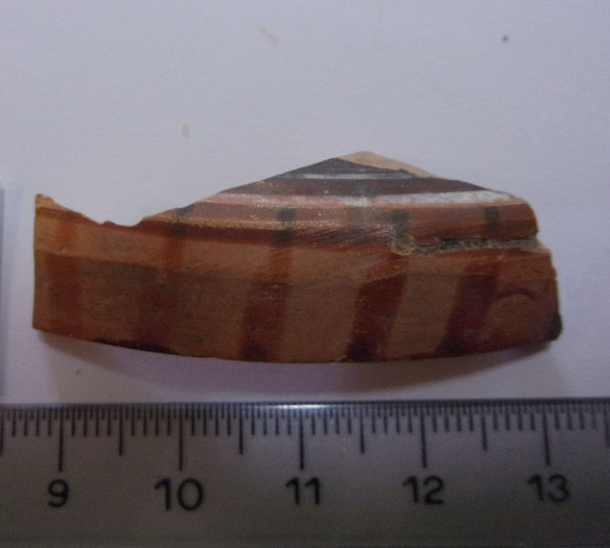 coperchio