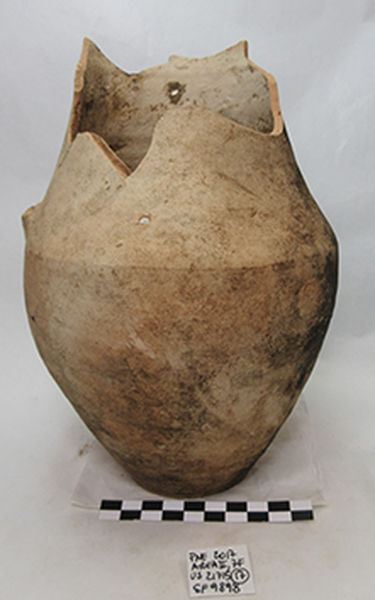 brocca/ ovoidale