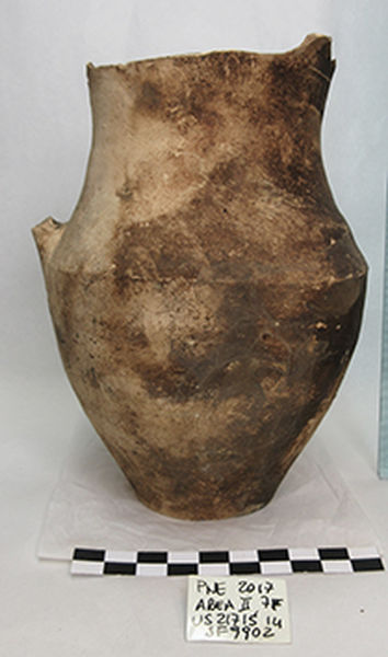 brocca/ ovoidale