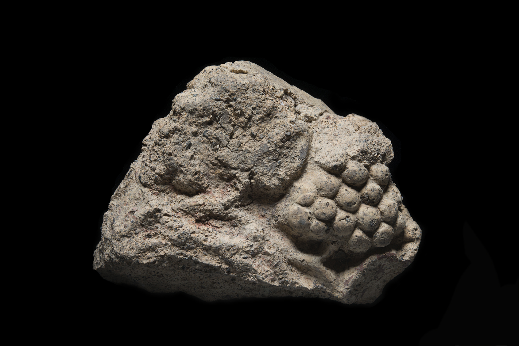 antefissa