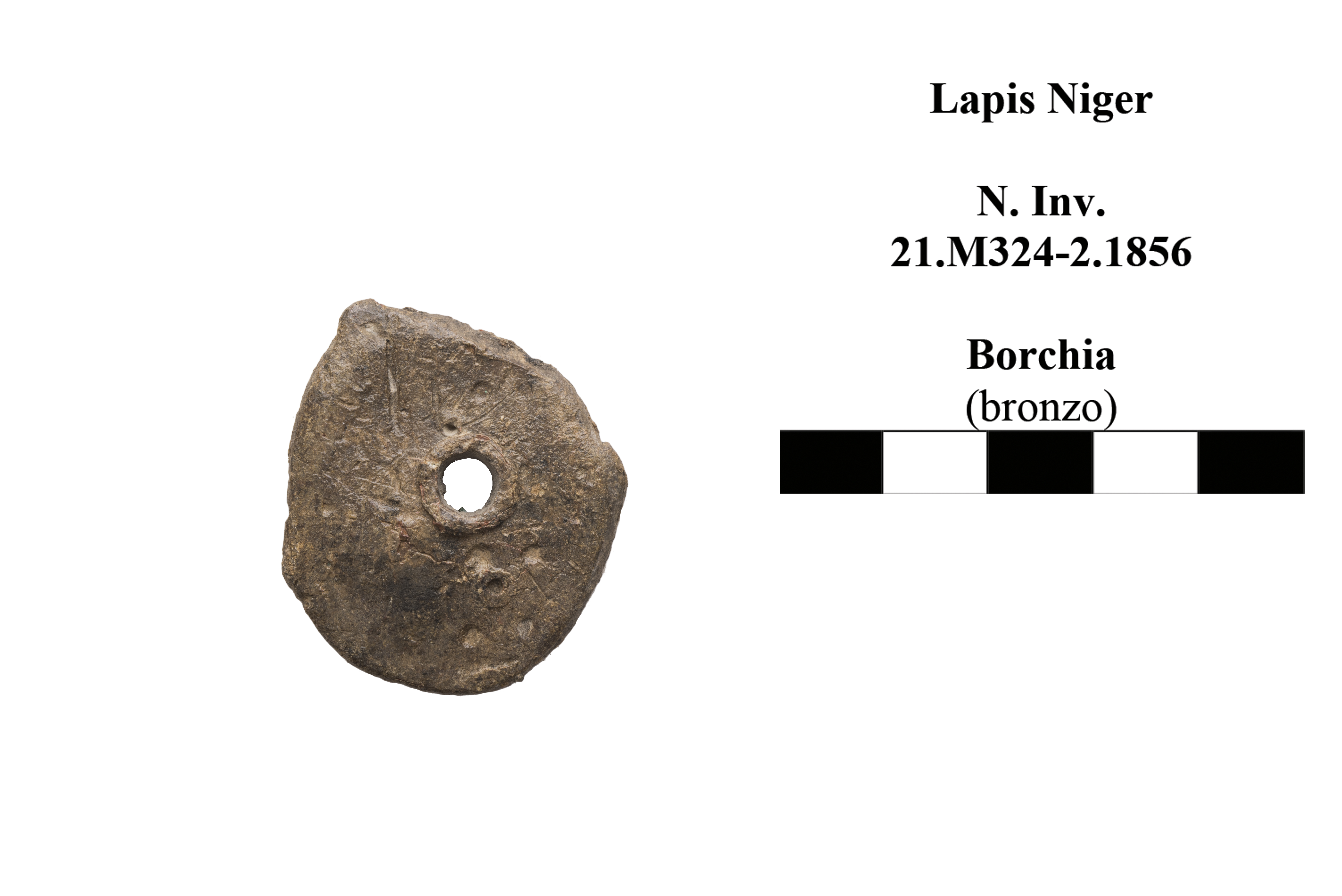 borchia