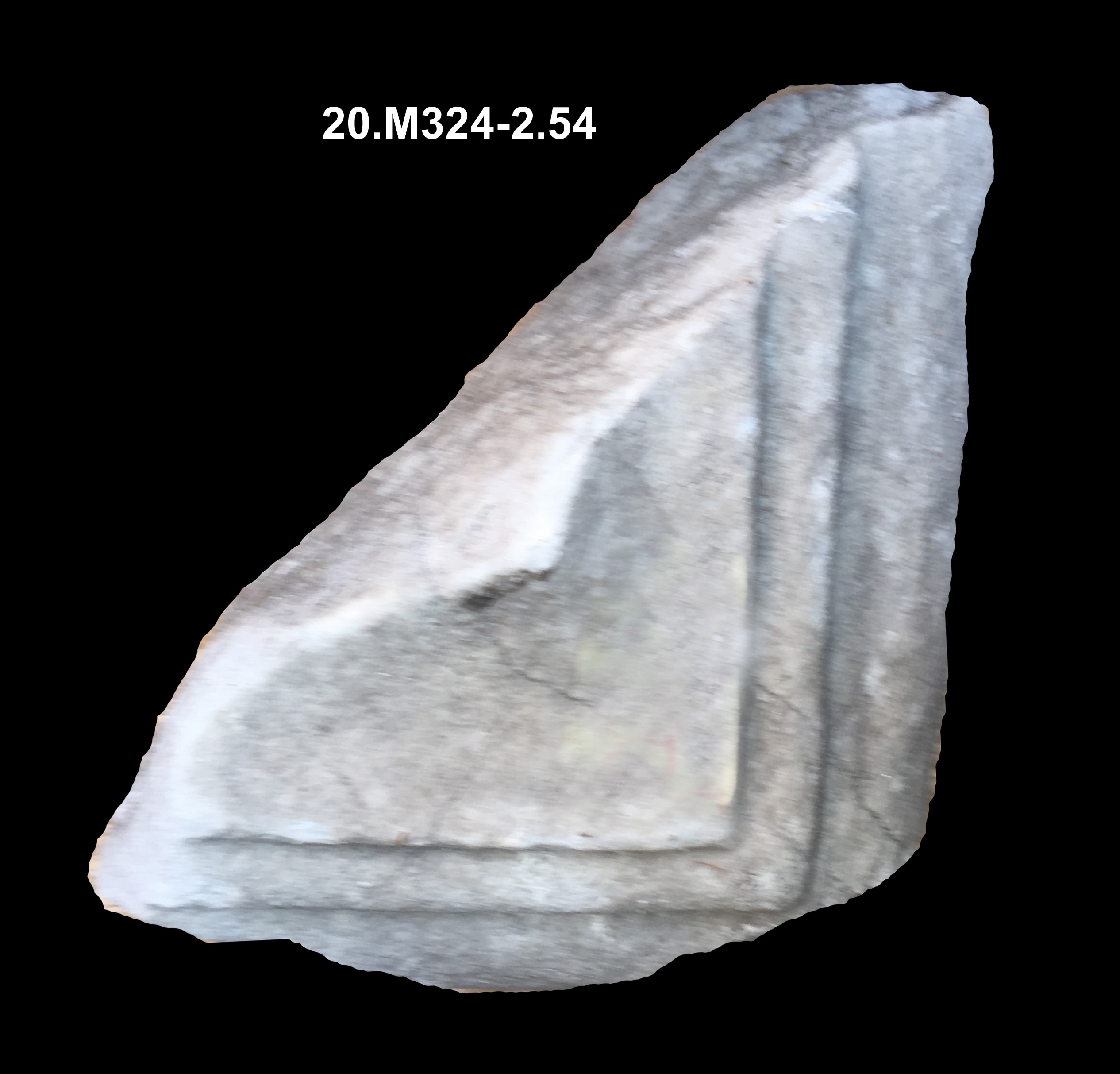 incorniciatura/ modanata